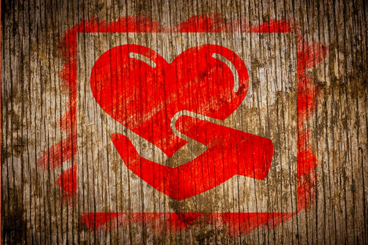 Charity-Red-Icon-of-Heart
