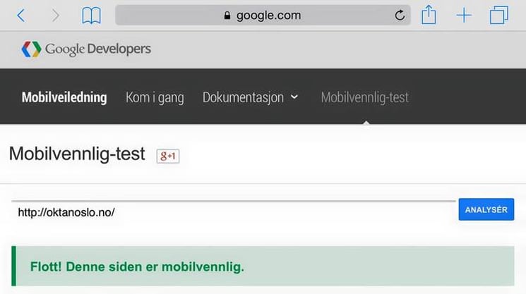 screenshot-google-pagespeed-test-oktan-oslo